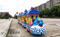 海洋無軌小(xiǎo)火車(chē)圖片